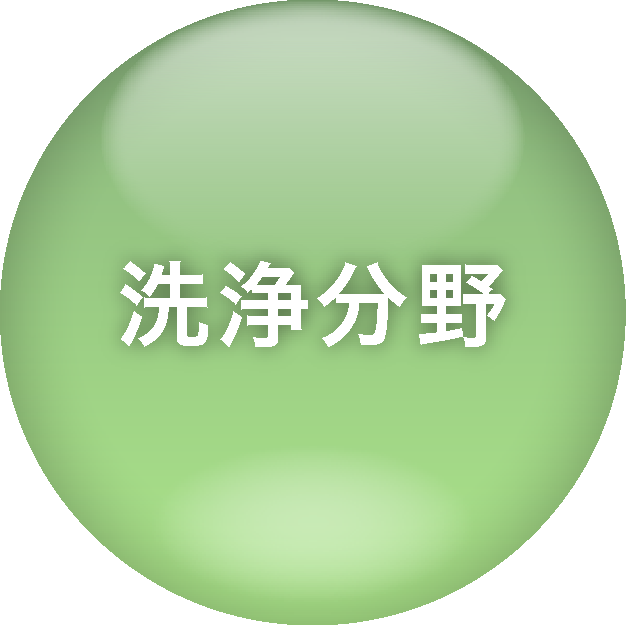 洗浄分野